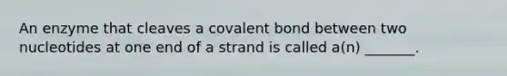 An enzyme that cleaves a covalent bond between two nucleotides at one end of a strand is called a(n) _______.