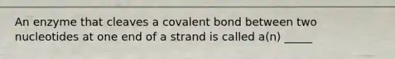 An enzyme that cleaves a covalent bond between two nucleotides at one end of a strand is called a(n) _____