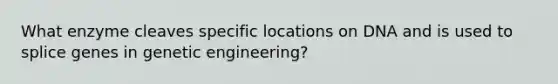 What enzyme cleaves specific locations on DNA and is used to splice genes in genetic engineering?