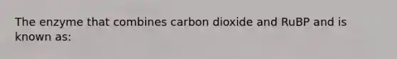 The enzyme that combines carbon dioxide and RuBP and is known as: