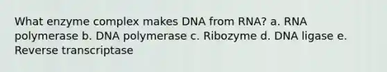 What enzyme complex makes DNA from RNA? a. RNA polymerase b. DNA polymerase c. Ribozyme d. DNA ligase e. Reverse transcriptase