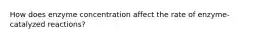 How does enzyme concentration affect the rate of enzyme-catalyzed reactions?