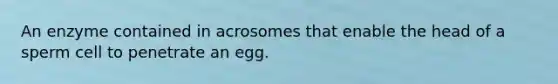 An enzyme contained in acrosomes that enable the head of a sperm cell to penetrate an egg.