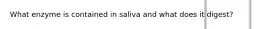 What enzyme is contained in saliva and what does it digest?