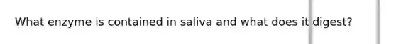 What enzyme is contained in saliva and what does it digest?