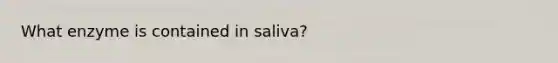 What enzyme is contained in saliva?