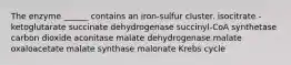 The enzyme ______ contains an iron-sulfur cluster. isocitrate -ketoglutarate succinate dehydrogenase succinyl-CoA synthetase carbon dioxide aconitase malate dehydrogenase malate oxaloacetate malate synthase malonate Krebs cycle