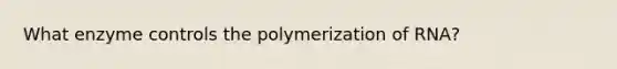 What enzyme controls the polymerization of RNA?