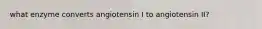 what enzyme converts angiotensin I to angiotensin II?