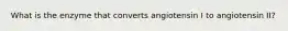 What is the enzyme that converts angiotensin I to angiotensin II?