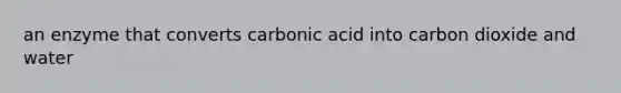 an enzyme that converts carbonic acid into carbon dioxide and water