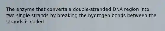 The enzyme that converts a double-stranded DNA region into two single strands by breaking the hydrogen bonds between the strands is called