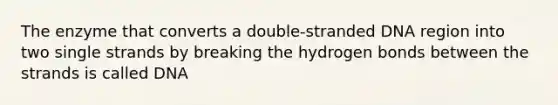 The enzyme that converts a double-stranded DNA region into two single strands by breaking the hydrogen bonds between the strands is called DNA