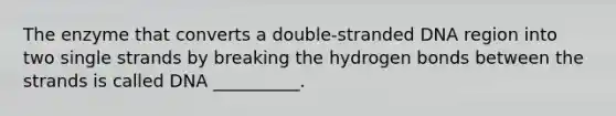 The enzyme that converts a double-stranded DNA region into two single strands by breaking the hydrogen bonds between the strands is called DNA __________.