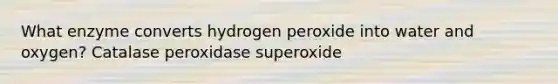 What enzyme converts hydrogen peroxide into water and oxygen? Catalase peroxidase superoxide