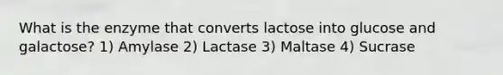 What is the enzyme that converts lactose into glucose and galactose? 1) Amylase 2) Lactase 3) Maltase 4) Sucrase