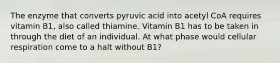 The enzyme that converts pyruvic acid into acetyl CoA requires vitamin B1, also called thiamine. Vitamin B1 has to be taken in through the diet of an individual. At what phase would <a href='https://www.questionai.com/knowledge/k1IqNYBAJw-cellular-respiration' class='anchor-knowledge'>cellular respiration</a> come to a halt without B1?