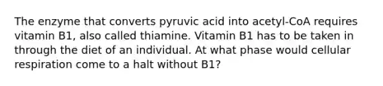 The enzyme that converts pyruvic acid into acetyl-CoA requires vitamin B1, also called thiamine. Vitamin B1 has to be taken in through the diet of an individual. At what phase would <a href='https://www.questionai.com/knowledge/k1IqNYBAJw-cellular-respiration' class='anchor-knowledge'>cellular respiration</a> come to a halt without B1?