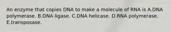 An enzyme that copies DNA to make a molecule of RNA is A.DNA polymerase. B.DNA ligase. C.DNA helicase. D.RNA polymerase. E.transposase.