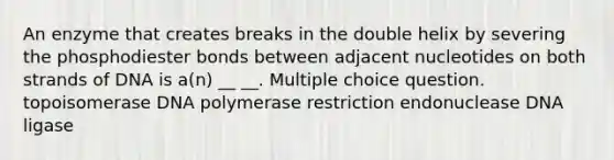 An enzyme that creates breaks in the double helix by severing the phosphodiester bonds between adjacent nucleotides on both strands of DNA is a(n) __ __. Multiple choice question. topoisomerase DNA polymerase restriction endonuclease DNA ligase