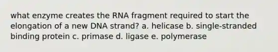 what enzyme creates the RNA fragment required to start the elongation of a new DNA strand? a. helicase b. single-stranded binding protein c. primase d. ligase e. polymerase