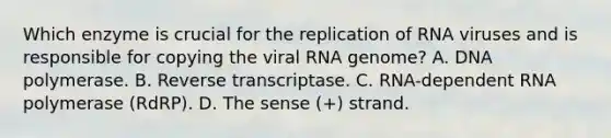 Which enzyme is crucial for the replication of RNA viruses and is responsible for copying the viral RNA genome? A. DNA polymerase. B. Reverse transcriptase. C. RNA-dependent RNA polymerase (RdRP). D. The sense (+) strand.