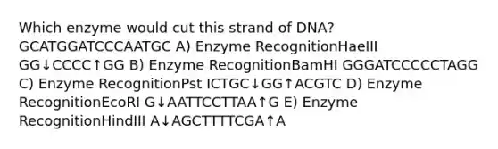 Which enzyme would cut this strand of DNA? GCATGGATCCCAATGC A) Enzyme RecognitionHaeIII GG↓CCCC↑GG B) Enzyme RecognitionBamHI GGGATCCCCCTAGG C) Enzyme RecognitionPst ICTGC↓GG↑ACGTC D) Enzyme RecognitionEcoRI G↓AATTCCTTAA↑G E) Enzyme RecognitionHindIII A↓AGCTTTTCGA↑A