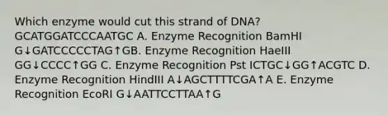 Which enzyme would cut this strand of DNA? GCATGGATCCCAATGC A. Enzyme Recognition BamHI G↓GATCCCCCTAG↑GB. Enzyme Recognition HaeIII GG↓CCCC↑GG C. Enzyme Recognition Pst ICTGC↓GG↑ACGTC D. Enzyme Recognition HindIII A↓AGCTTTTCGA↑A E. Enzyme Recognition EcoRI G↓AATTCCTTAA↑G