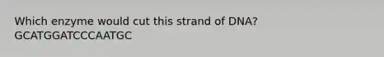 Which enzyme would cut this strand of DNA?GCATGGATCCCAATGC