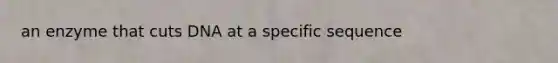 an enzyme that cuts DNA at a specific sequence