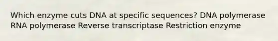 Which enzyme cuts DNA at specific sequences? DNA polymerase RNA polymerase Reverse transcriptase Restriction enzyme