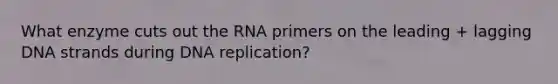 What enzyme cuts out the RNA primers on the leading + lagging DNA strands during DNA replication?