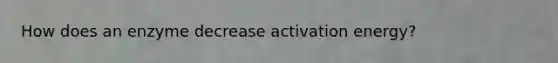 How does an enzyme decrease activation energy?