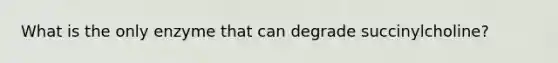 What is the only enzyme that can degrade succinylcholine?