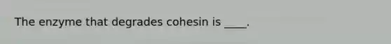 The enzyme that degrades cohesin is ____.