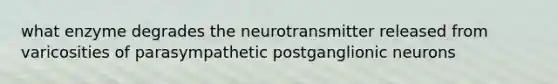 what enzyme degrades the neurotransmitter released from varicosities of parasympathetic postganglionic neurons