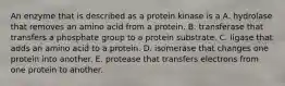 An enzyme that is described as a protein kinase is a A. hydrolase that removes an amino acid from a protein. B. transferase that transfers a phosphate group to a protein substrate. C. ligase that adds an amino acid to a protein. D. isomerase that changes one protein into another. E. protease that transfers electrons from one protein to another.