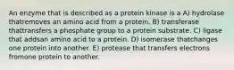 An enzyme that is described as a protein kinase is a A) hydrolase thatremoves an amino acid from a protein. B) transferase thattransfers a phosphate group to a protein substrate. C) ligase that addsan amino acid to a protein. D) isomerase thatchanges one protein into another. E) protease that transfers electrons fromone protein to another.