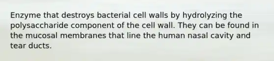 Enzyme that destroys bacterial cell walls by hydrolyzing the polysaccharide component of the cell wall. They can be found in the mucosal membranes that line the human nasal cavity and tear ducts.