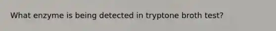 What enzyme is being detected in tryptone broth test?