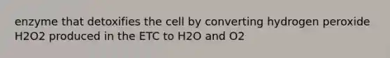 enzyme that detoxifies the cell by converting hydrogen peroxide H2O2 produced in the ETC to H2O and O2