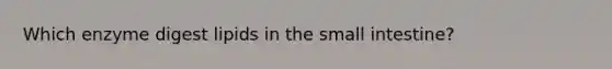 Which enzyme digest lipids in the small intestine?