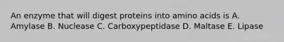 An enzyme that will digest proteins into amino acids is A. Amylase B. Nuclease C. Carboxypeptidase D. Maltase E. Lipase