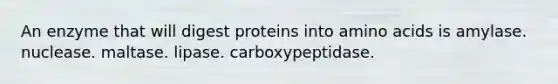 An enzyme that will digest proteins into <a href='https://www.questionai.com/knowledge/k9gb720LCl-amino-acids' class='anchor-knowledge'>amino acids</a> is amylase. nuclease. maltase. lipase. carboxypeptidase.