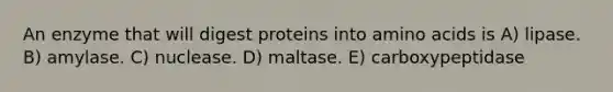 An enzyme that will digest proteins into amino acids is A) lipase. B) amylase. C) nuclease. D) maltase. E) carboxypeptidase