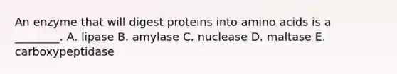 An enzyme that will digest proteins into amino acids is a ________. A. lipase B. amylase C. nuclease D. maltase E. carboxypeptidase