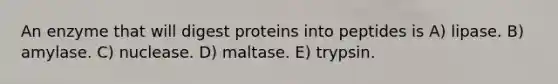 An enzyme that will digest proteins into peptides is A) lipase. B) amylase. C) nuclease. D) maltase. E) trypsin.