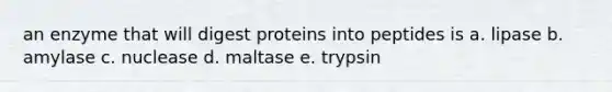 an enzyme that will digest proteins into peptides is a. lipase b. amylase c. nuclease d. maltase e. trypsin