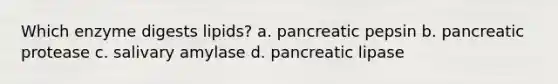 Which enzyme digests lipids? a. pancreatic pepsin b. pancreatic protease c. salivary amylase d. pancreatic lipase