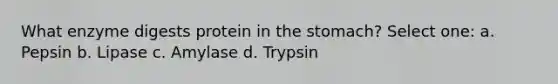 What enzyme digests protein in the stomach? Select one: a. Pepsin b. Lipase c. Amylase d. Trypsin